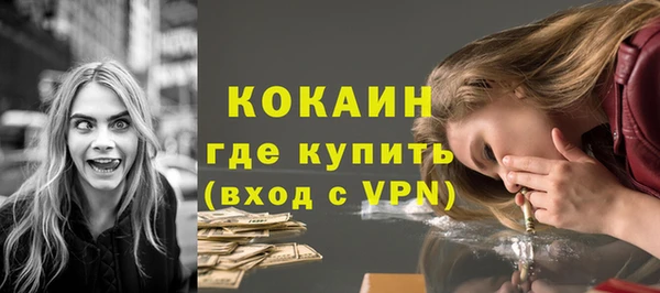сатива Бородино