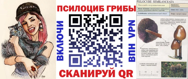 магазин    Зеленоградск  blacksprut ссылка  Псилоцибиновые грибы ЛСД 