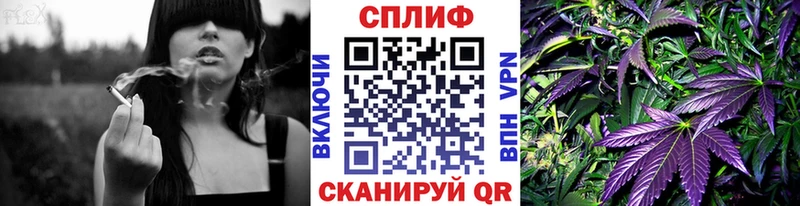 магазин    Зеленоградск  Шишки марихуана Amnesia 